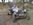 DG & CS Derbyshire vscc trial09 web.jpg